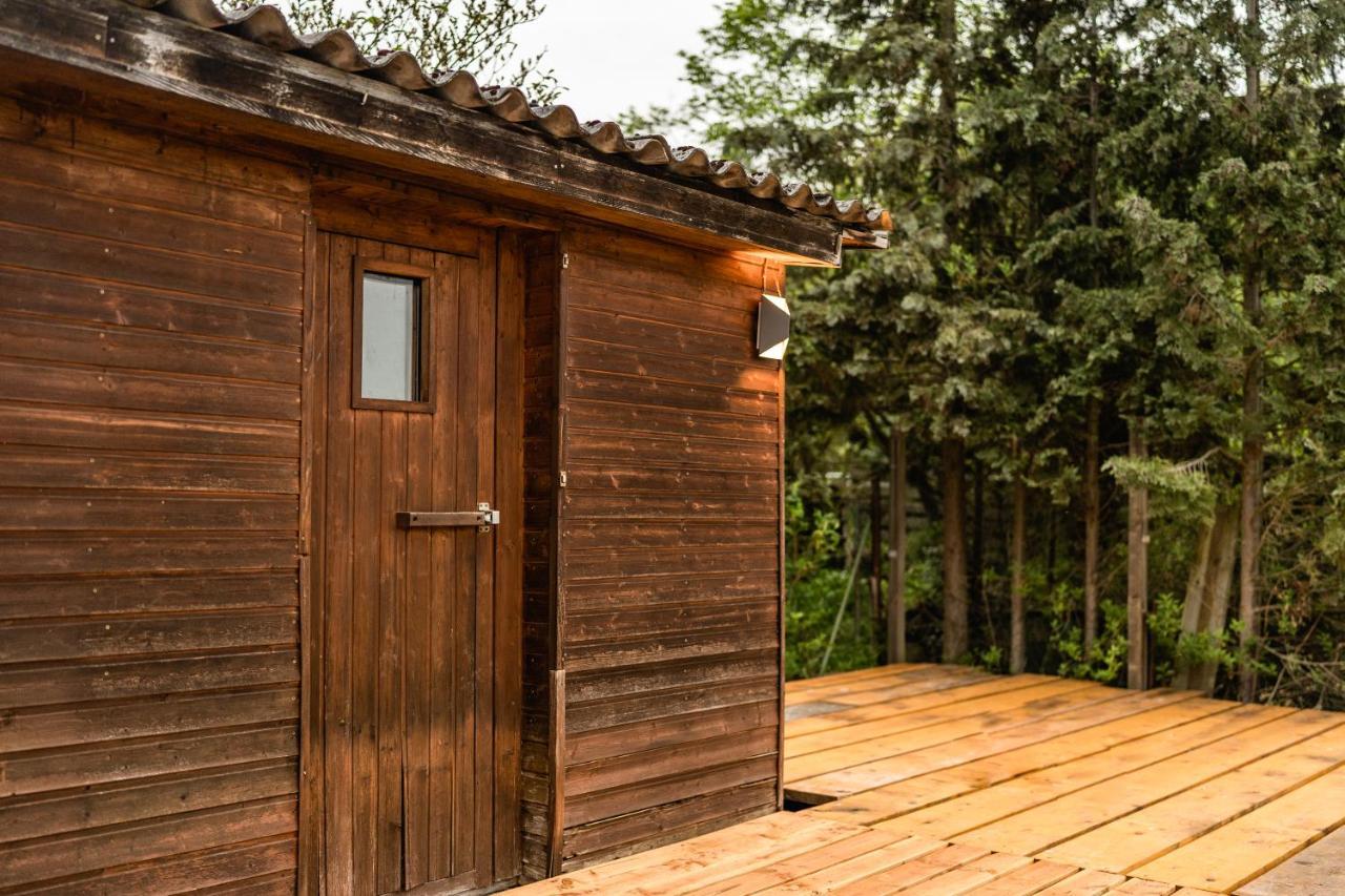 Die Entspannendste Wohnung Am Edersee - Spa Sauna Edertal Εξωτερικό φωτογραφία